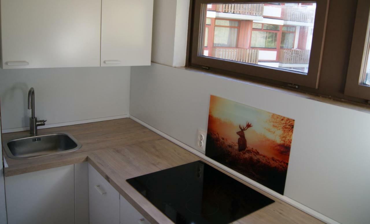 Ferienwohnung Schwarzwaldlust Schluchsee Exterior photo